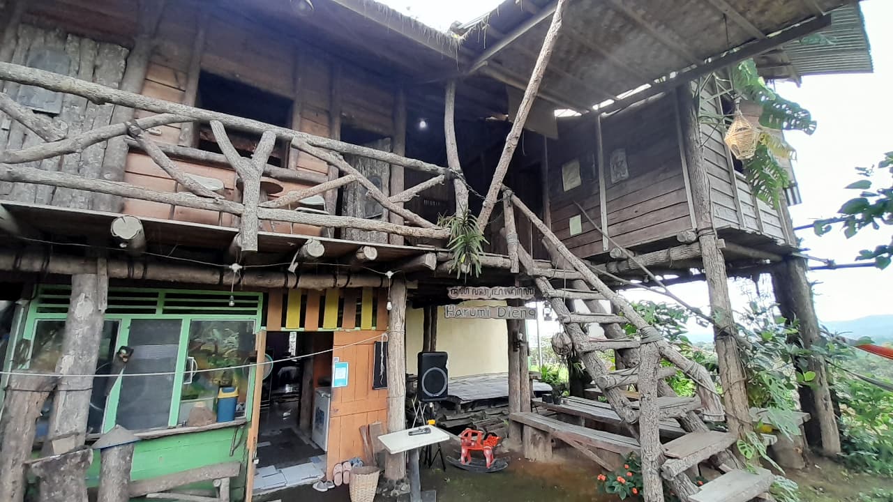 Rumah Pohon